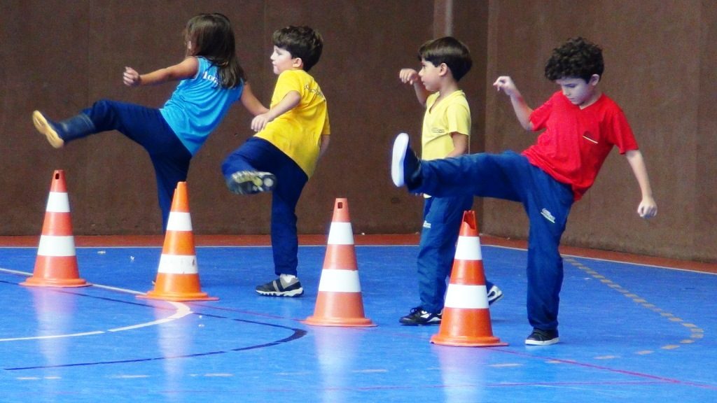 A Capoeira na sala de aula: Relações com a Educação Física e